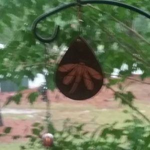 Meet your Posher, Theresa